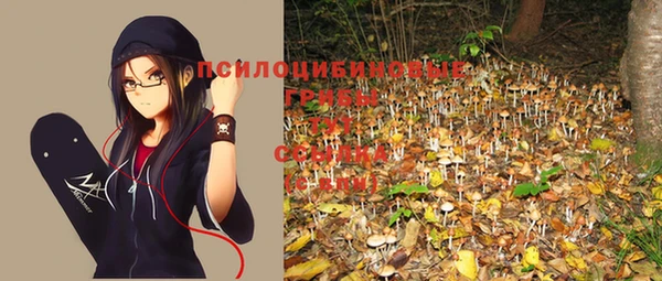 стафф Волосово