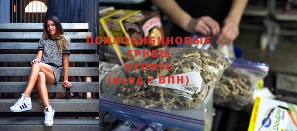 стафф Волосово