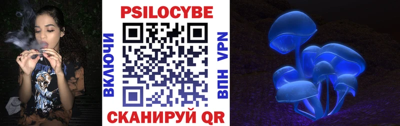 Купить где  Прокопьевск  Галлюциногенные грибы Psilocybine cubensis 